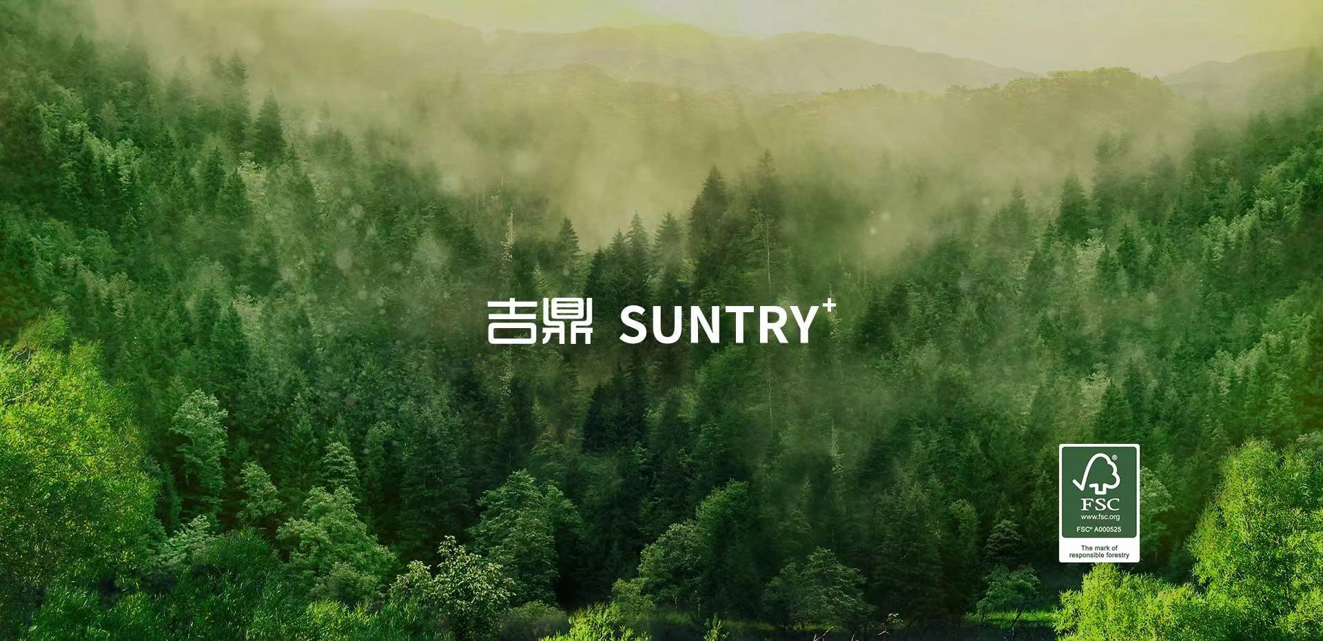 Zhejiang Jiding new material Technology Co., LTD